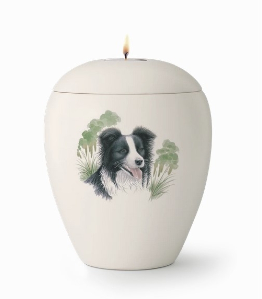 Tierurne mit Abbild eines Boarder Collies mit Gedenklicht